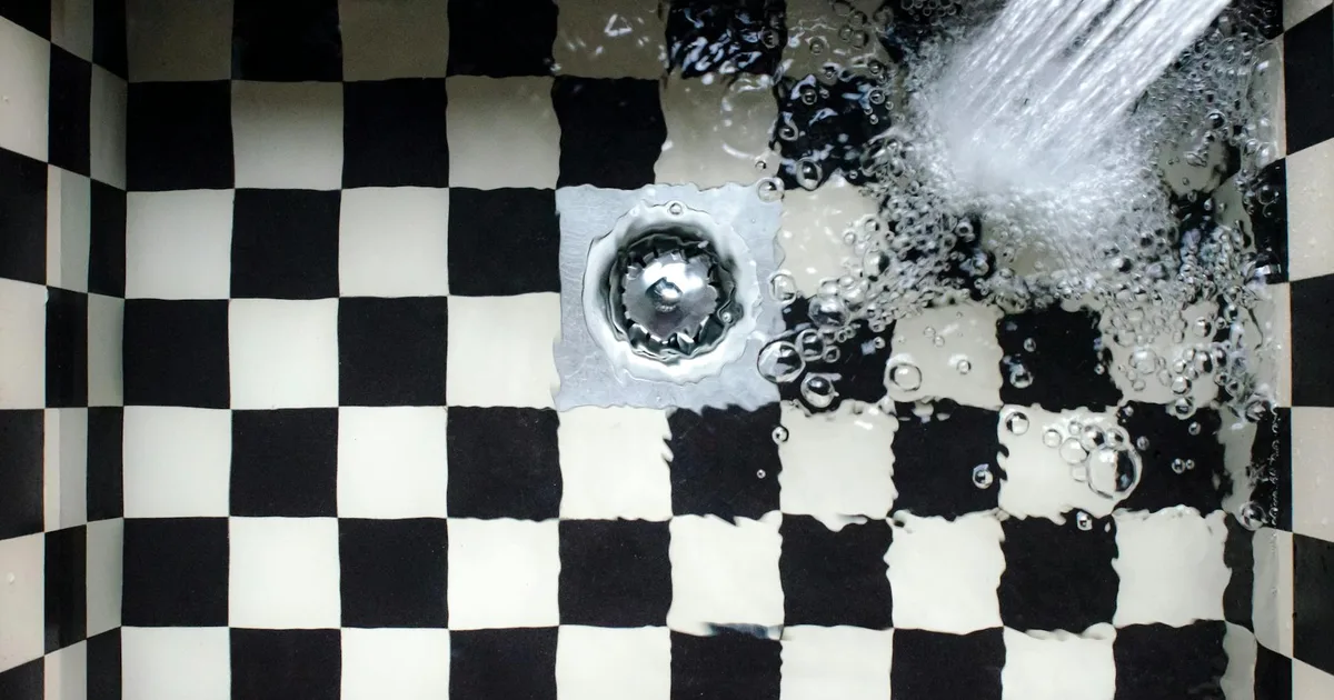 Desagüe de baño y limpieza de humedad para localizar el origen de larvas negras